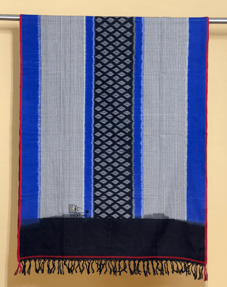 Blue Panel Dupatta