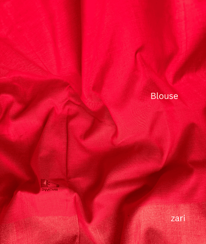 Red Ikkat Saree with Zari Border