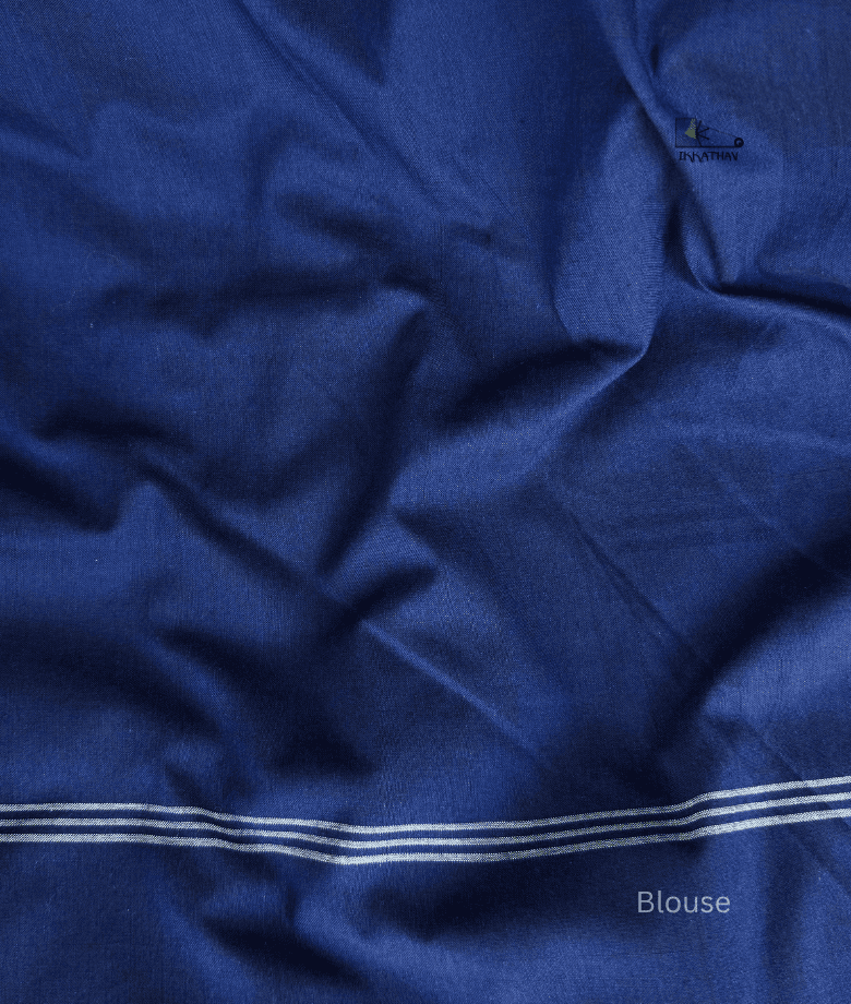 Double Ikkat Saree