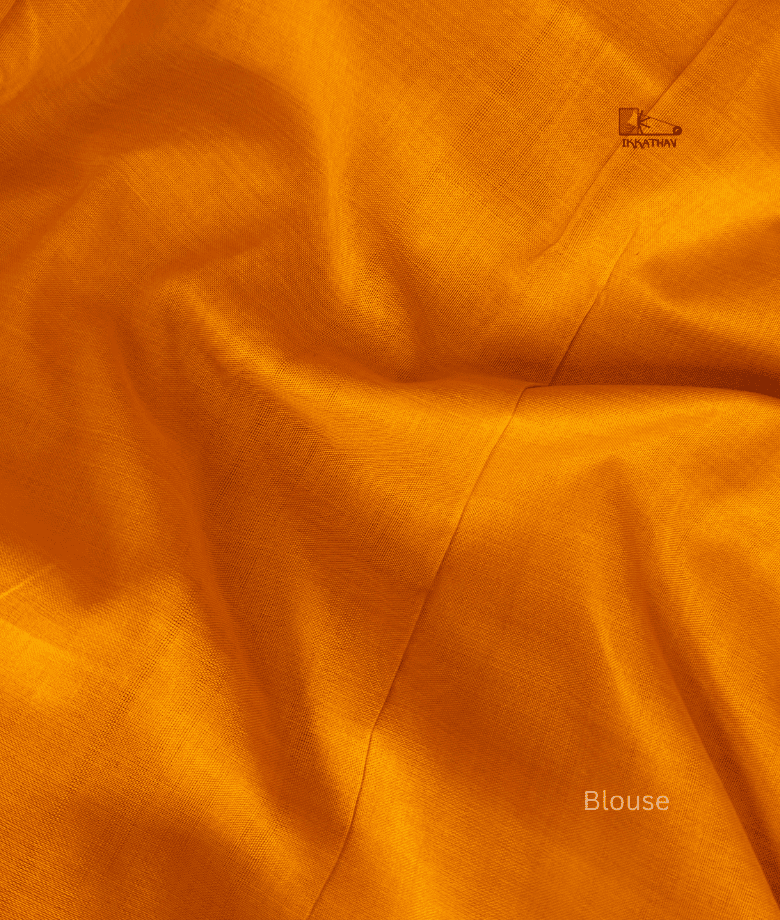 Double Ikkat Saree