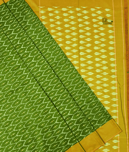 WARP SAREE